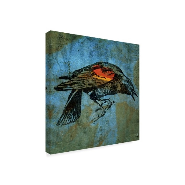 John W. Golden 'Redwing Blackbird' Canvas Art,14x14